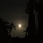 Raquelle Stevens Instagram – 🤍🌙 🌊