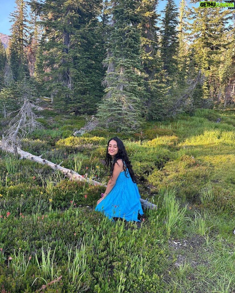 Raveena Aurora Instagram - Somewhere in the meadow … a little frog says hello 🥲 🙂 “everyone’s happy to see u, everyone wants to take care of u “