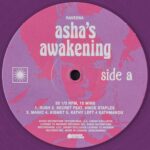 Raveena Aurora Instagram – I swear Asha’s awakening is the most beautiful double vinyl I’ve ever laid my hands on. so much to celebrate today … 4 years of lucid . The first edition of Asha’s awakening on wax. two albums I can hold in my hand and say that I am so proud of and that were made with utmost care and passion. I can’t wait until I can hold 10 albums of mine together and see the story of my life woven together thru sound, color, endless collaboration and learning :) we can never let physical versions of our work ever die out . they are so important
thank you @fiskprojects @bijanberahimi for the always beautiful vinyl design and careful attention to detail
today for sale on my website is:
– first edition double vinyl of Asha’s awakening in limited edition
– limited edition lucid vinyl repressing
– lucid anniversary tee
– one time repressing of “all my friends” tee from lucid era
I LOVE U THANK U FOR LETTING ME CREATE ART AND SHARE IT WITH U AGAIN AND AGAIN