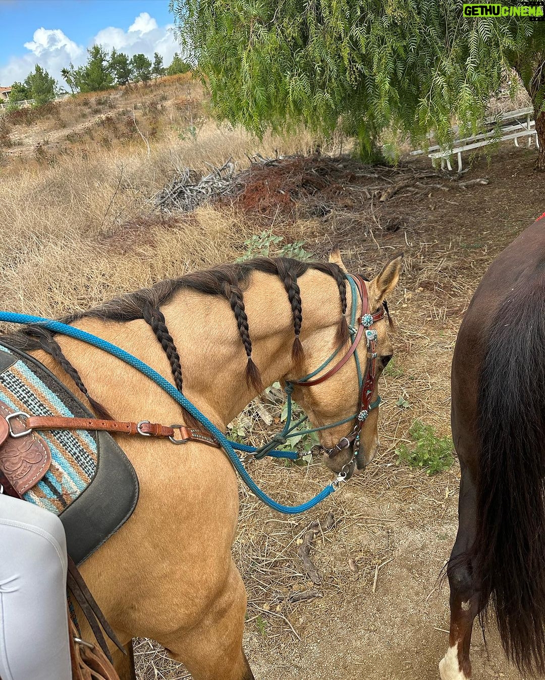 Raveena Aurora Instagram - GOLDEN BIRTHDAY ♥️♥️🥰🥰♥️♥️🥰♥️ 🥳🥳 I HAVE NO POETIC WORDS , IM WINE DRUNK AND SEXY AND JUST RODE A HORSE AND SURROUNDED BY LOVE AND LIFE IS VERY FUCKING BEAUTIFUL ♥️😭😭