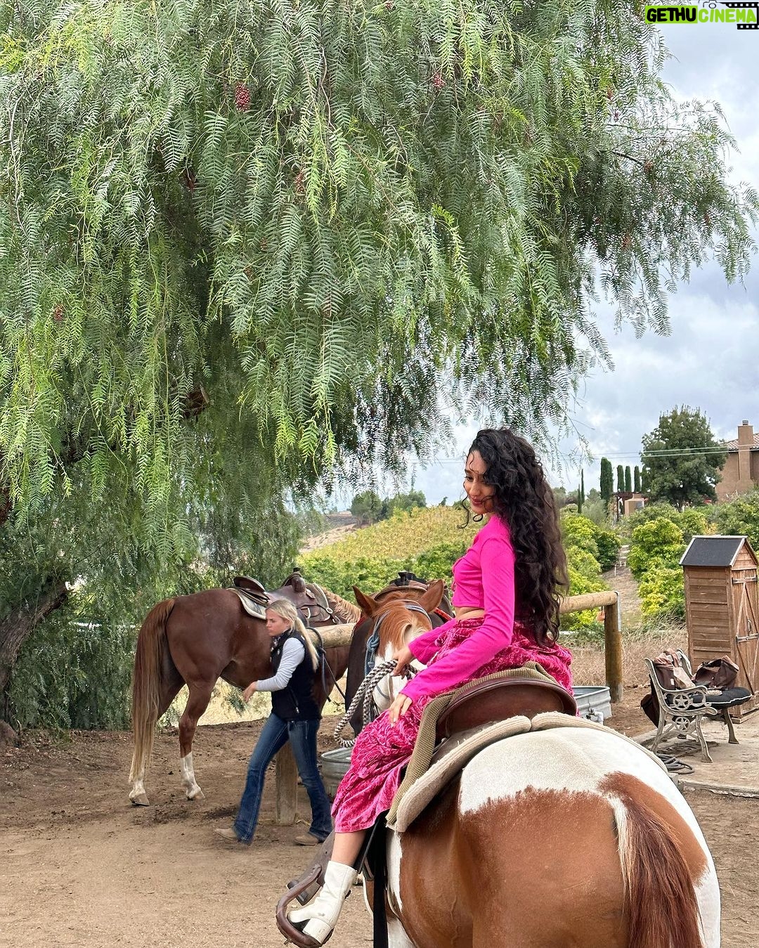 Raveena Aurora Instagram - GOLDEN BIRTHDAY ♥️♥️🥰🥰♥️♥️🥰♥️ 🥳🥳 I HAVE NO POETIC WORDS , IM WINE DRUNK AND SEXY AND JUST RODE A HORSE AND SURROUNDED BY LOVE AND LIFE IS VERY FUCKING BEAUTIFUL ♥️😭😭