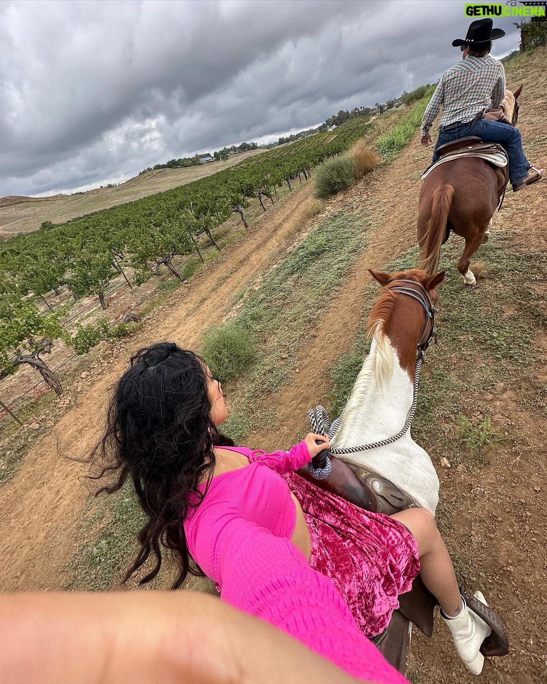 Raveena Aurora Instagram - GOLDEN BIRTHDAY ♥️♥️🥰🥰♥️♥️🥰♥️ 🥳🥳 I HAVE NO POETIC WORDS , IM WINE DRUNK AND SEXY AND JUST RODE A HORSE AND SURROUNDED BY LOVE AND LIFE IS VERY FUCKING BEAUTIFUL ♥️😭😭