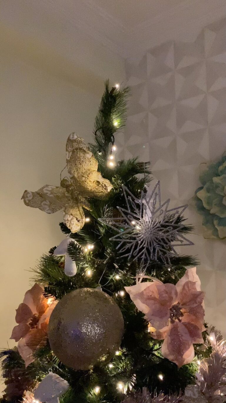 Rebeca Instagram - Hoje começou a época Natalícia na nossa casa 🎄🎄🧑‍🎄 gostam da nossa Árvore de Natal ?!? Eu acho-a lindaaaa 🤩