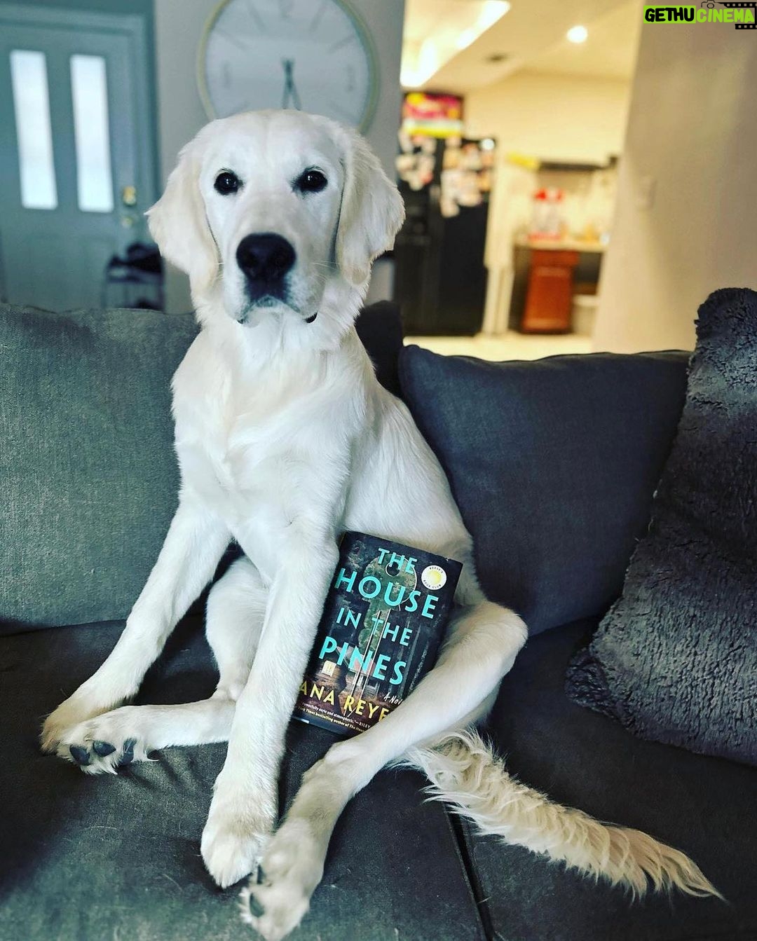 Reese Witherspoon Instagram - Happy #NationalDogDay! With #ReesesBarkClub... anything is paw-sible. ๐ถ๐พ โจ ๐ธ: @alfreads_books @shereadsonthebeach @pugsnpages @readingwithreesey @paws.and.read @books_wine_and_sunshine @charliebrounandliv @readbyraines @gissellereads