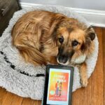 Reese Witherspoon Instagram - Happy #NationalDogDay! With #ReesesBarkClub... anything is paw-sible. 🐶🐾 ✨ 📸: @alfreads_books @shereadsonthebeach @pugsnpages @readingwithreesey @paws.and.read @books_wine_and_sunshine @charliebrounandliv @readbyraines @gissellereads
