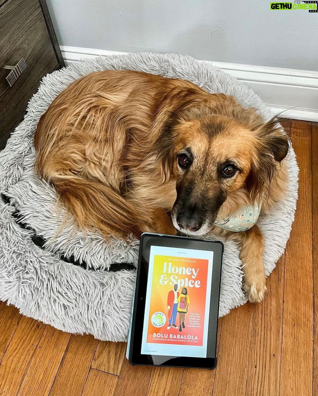 Reese Witherspoon Instagram - Happy #NationalDogDay! With #ReesesBarkClub... anything is paw-sible. ๐ถ๐พ โจ ๐ธ: @alfreads_books @shereadsonthebeach @pugsnpages @readingwithreesey @paws.and.read @books_wine_and_sunshine @charliebrounandliv @readbyraines @gissellereads