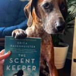 Reese Witherspoon Instagram - Happy #NationalDogDay! With #ReesesBarkClub... anything is paw-sible. 🐶🐾 ✨ 📸: @alfreads_books @shereadsonthebeach @pugsnpages @readingwithreesey @paws.and.read @books_wine_and_sunshine @charliebrounandliv @readbyraines @gissellereads