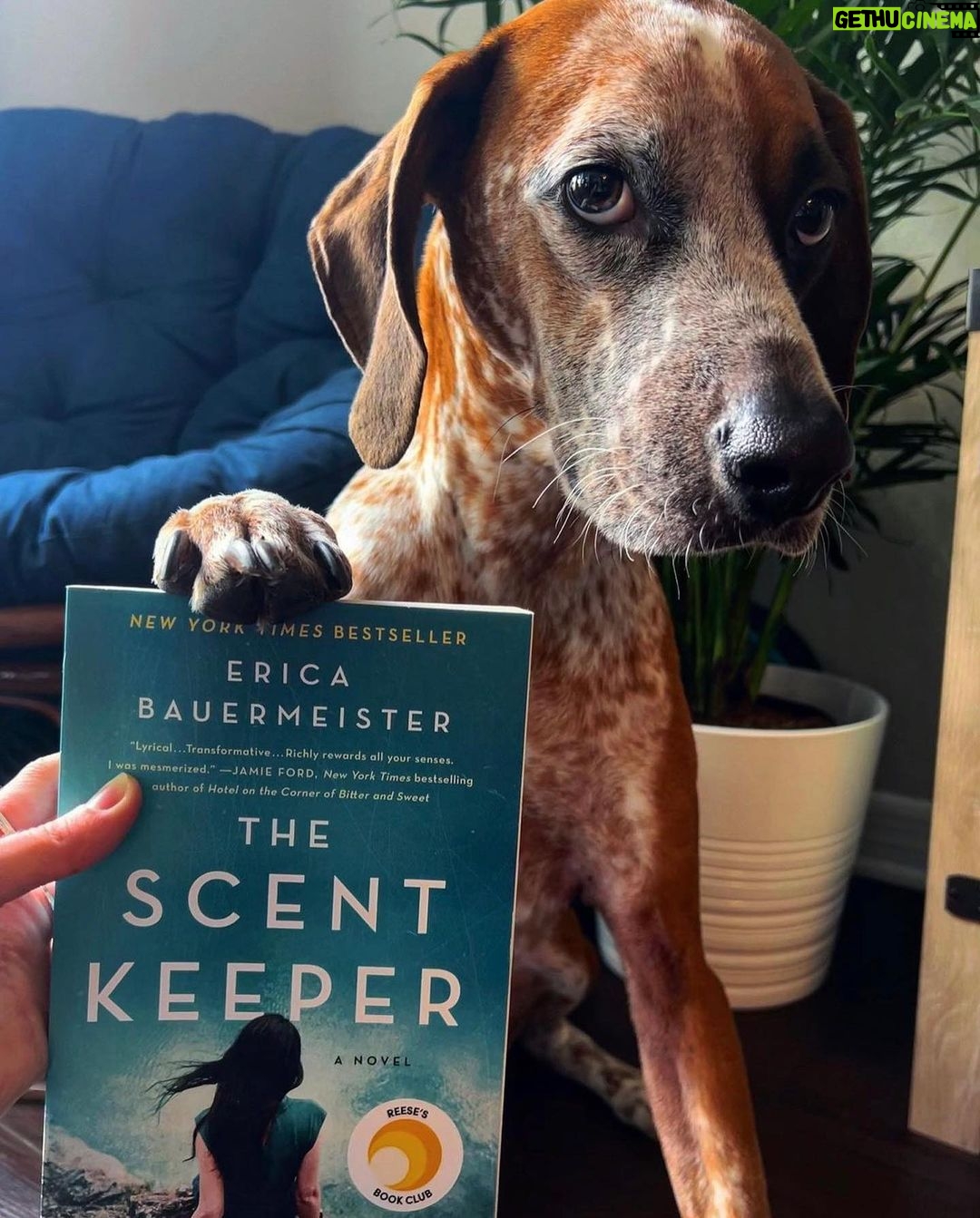Reese Witherspoon Instagram - Happy #NationalDogDay! With #ReesesBarkClub... anything is paw-sible. ๐ถ๐พ โจ ๐ธ: @alfreads_books @shereadsonthebeach @pugsnpages @readingwithreesey @paws.and.read @books_wine_and_sunshine @charliebrounandliv @readbyraines @gissellereads
