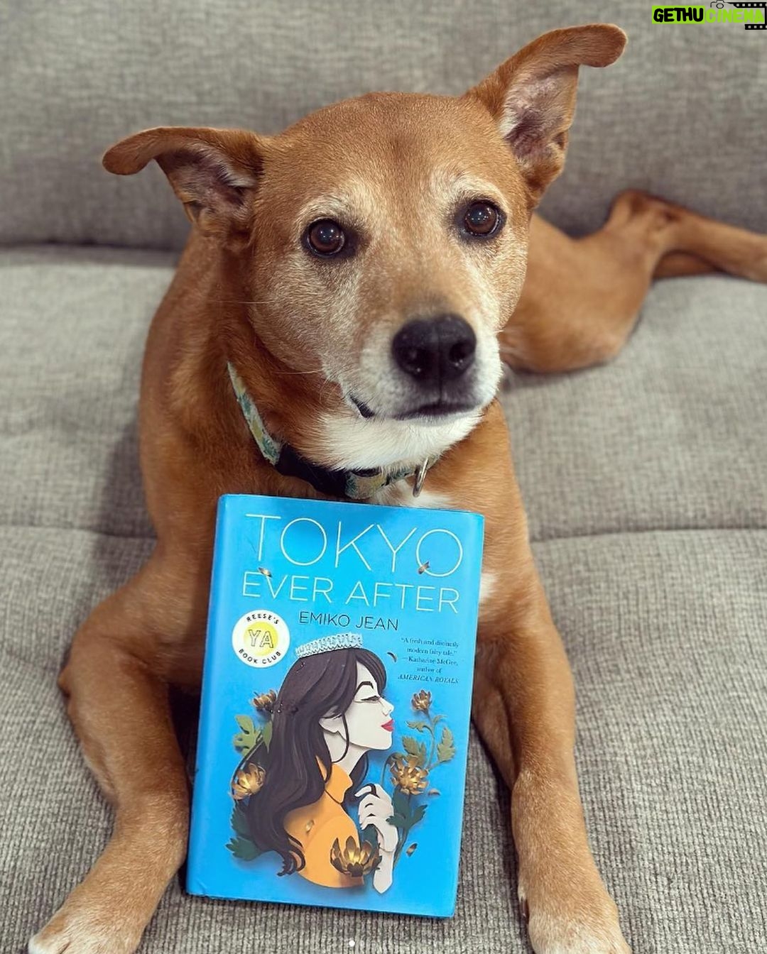 Reese Witherspoon Instagram - Happy #NationalDogDay! With #ReesesBarkClub... anything is paw-sible. ๐ถ๐พ โจ ๐ธ: @alfreads_books @shereadsonthebeach @pugsnpages @readingwithreesey @paws.and.read @books_wine_and_sunshine @charliebrounandliv @readbyraines @gissellereads