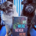 Reese Witherspoon Instagram - Happy #NationalDogDay! With #ReesesBarkClub... anything is paw-sible. 🐶🐾 ✨ 📸: @alfreads_books @shereadsonthebeach @pugsnpages @readingwithreesey @paws.and.read @books_wine_and_sunshine @charliebrounandliv @readbyraines @gissellereads