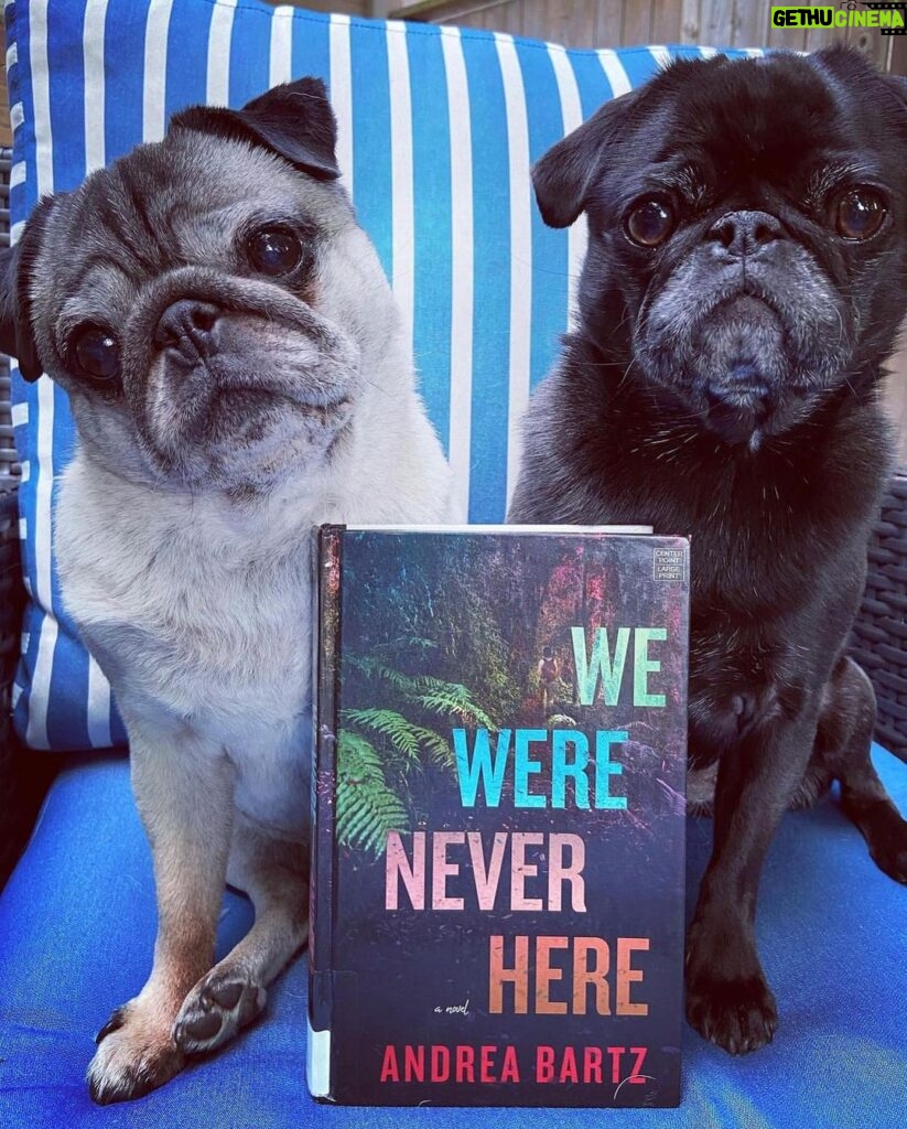 Reese Witherspoon Instagram - Happy #NationalDogDay! With #ReesesBarkClub... anything is paw-sible. 🐶🐾 ✨ 📸: @alfreads_books @shereadsonthebeach @pugsnpages @readingwithreesey @paws.and.read @books_wine_and_sunshine @charliebrounandliv @readbyraines @gissellereads
