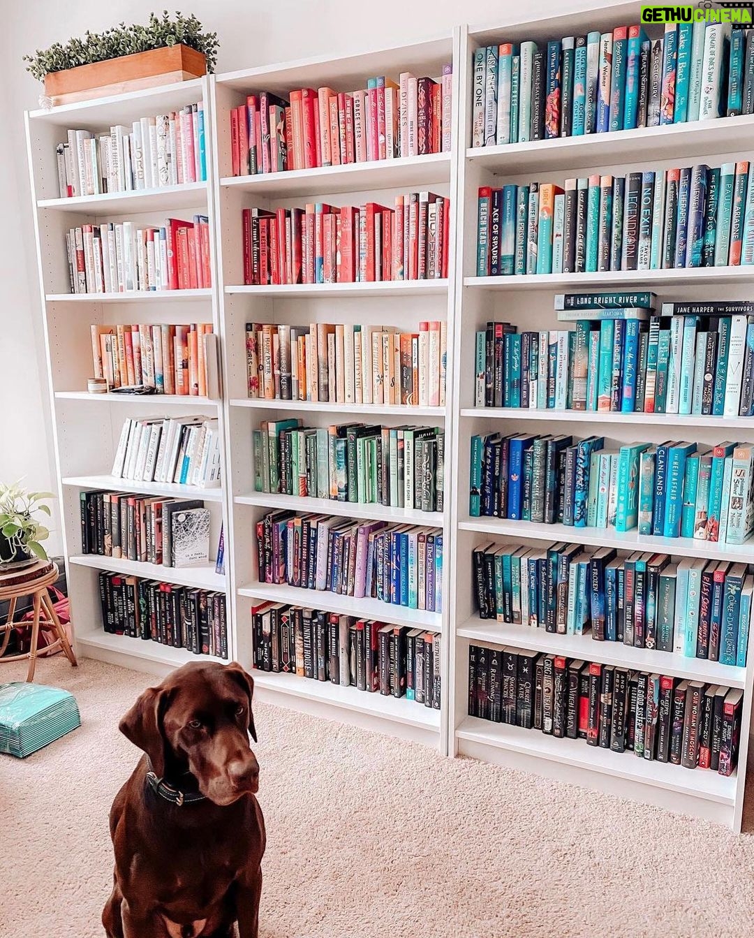 Reese Witherspoon Instagram - Happy #NationalDogDay! With #ReesesBarkClub... anything is paw-sible. ๐ถ๐พ โจ ๐ธ: @alfreads_books @shereadsonthebeach @pugsnpages @readingwithreesey @paws.and.read @books_wine_and_sunshine @charliebrounandliv @readbyraines @gissellereads