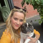 Reese Witherspoon Instagram - #NationalLoveYourPetDay, aka just a normal day in my life... thankful for my furry friends 🥰🐾