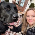 Reese Witherspoon Instagram – Holidays are just better with dogs ! Lots of dogs. 🐕🦺🦴❤️🎄Major+Minnie 🎁