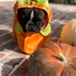 Reese Witherspoon Instagram - When your mom makes you go to a Halloween party… 🎃