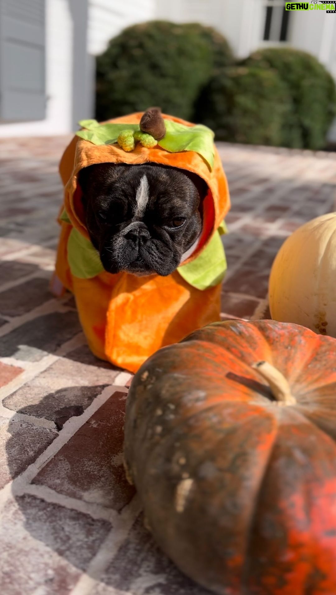 Reese Witherspoon Instagram - When your mom makes you go to a Halloween party… 🎃
