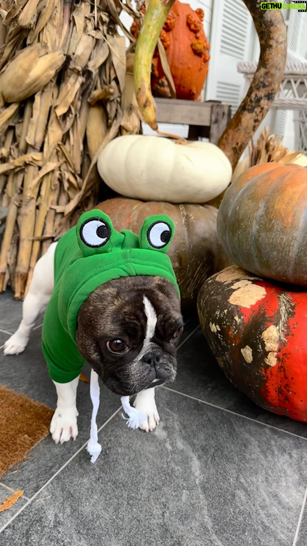 Reese Witherspoon Instagram - So many spoooky costume choices π» β¦and Minnie hates them all π Wishing everyone a safe and Happy Halloween! ππππ«