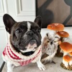 Reese Witherspoon Instagram - Giving THANKS for my wonderful family! And for pie 🥧 I love pie! ❤️💫🥧