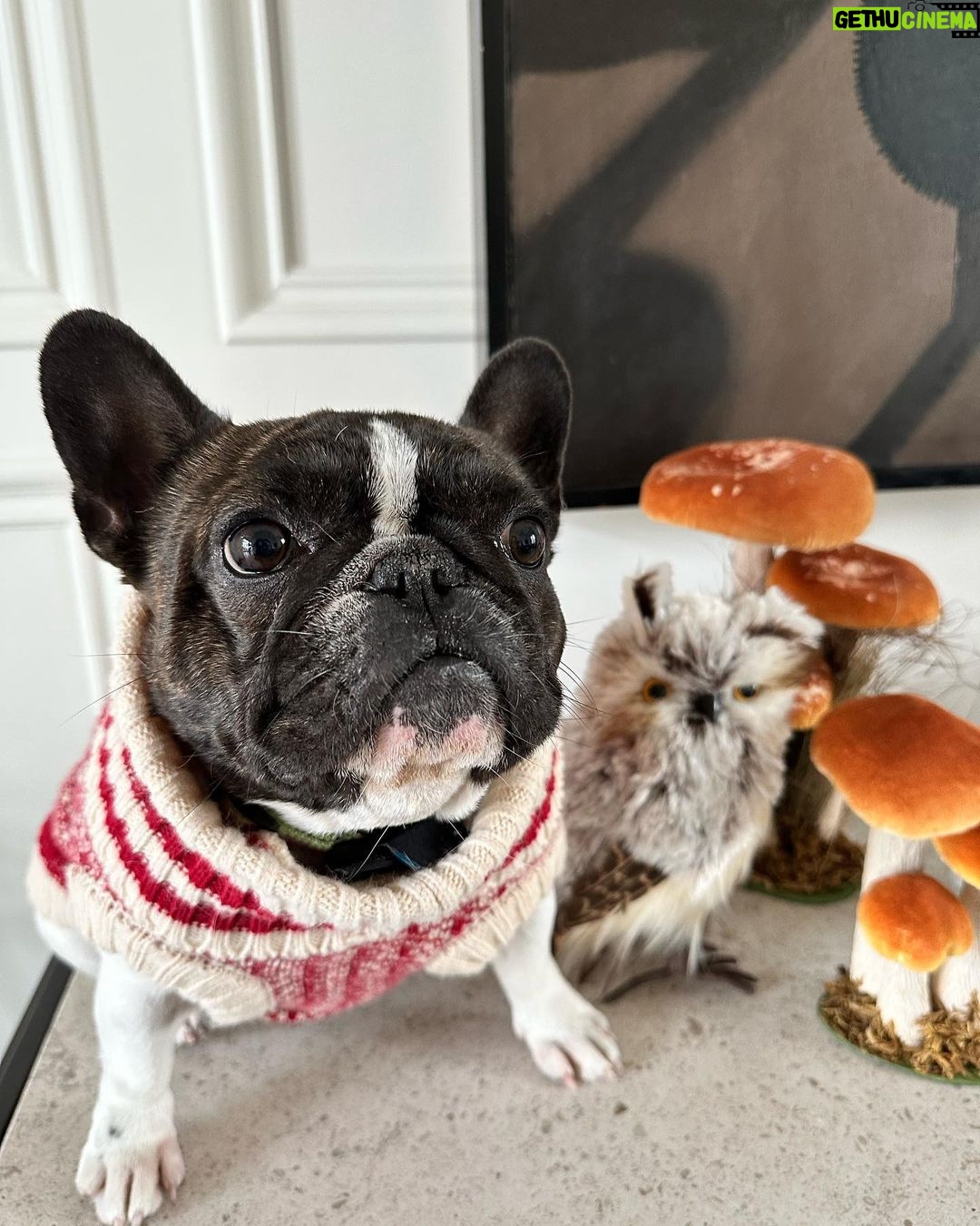Reese Witherspoon Instagram - Giving THANKS for my wonderful family! And for pie 🥧 I love pie! ❤️💫🥧