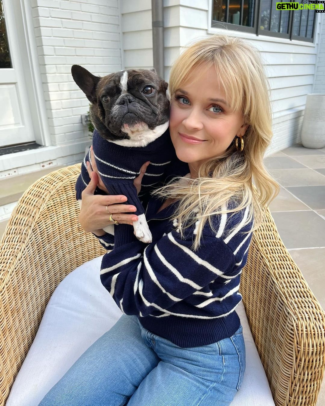 Reese Witherspoon Instagram - Matching sweaters with my pup?!?! 😍😍😍 The @draperjames x @thefoggydog collection is everything this dog lady has ever dreamed of. Shop now!!!