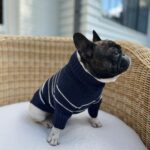 Reese Witherspoon Instagram - Matching sweaters with my pup?!?! 😍😍😍 The @draperjames x @thefoggydog collection is everything this dog lady has ever dreamed of. Shop now!!!