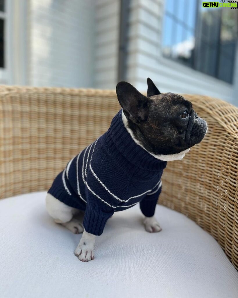 Reese Witherspoon Instagram - Matching sweaters with my pup?!?! 😍😍😍 The @draperjames x @thefoggydog collection is everything this dog lady has ever dreamed of. Shop now!!!