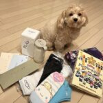 Reia Yonekura Instagram – in 京都 ☁️𓈒 𓂂𓏸

5枚目はファンの方からのプレゼント！！
ありがとうございます😥🤍
