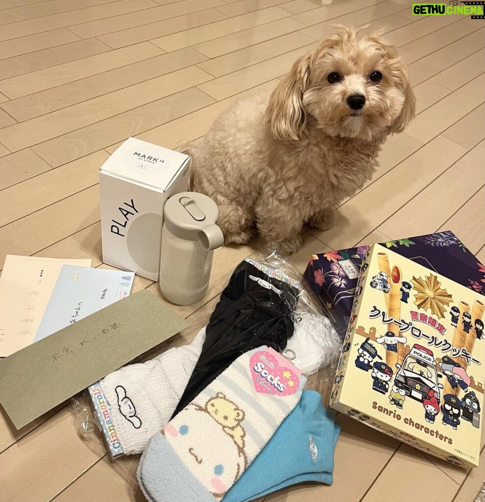 Reia Yonekura Instagram - in 京都 ☁️𓈒 𓂂𓏸 5枚目はファンの方からのプレゼント！！ ありがとうございます😥🤍