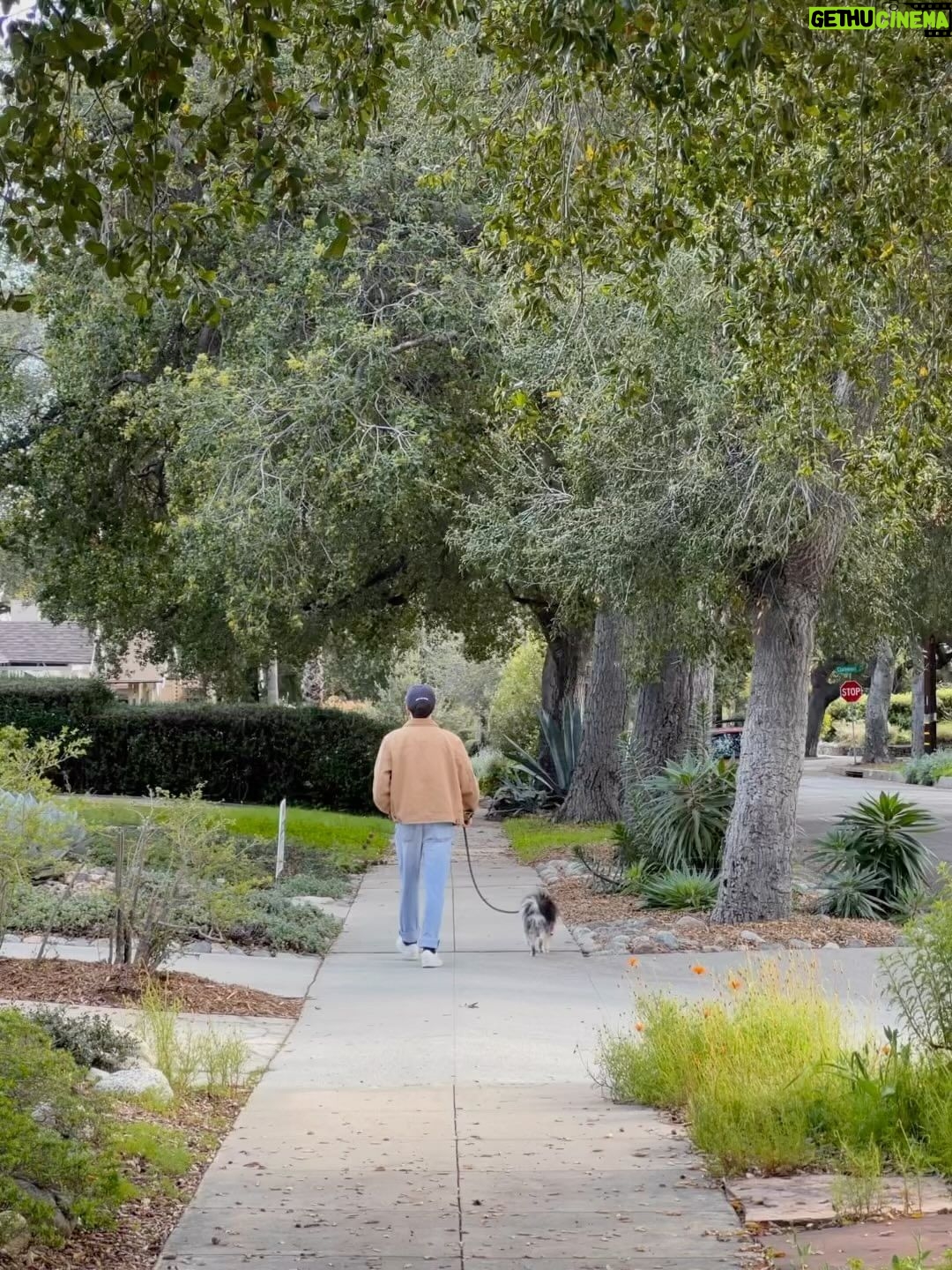 Reid Miller Instagram - A walk in Pasadena 🫶🏻 Pasadena, California