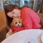 Reika Sakurai Instagram - 🐶 あ…はじめまして。 こちら、噂のうにです。 #うに #マルプー #rsfanclub