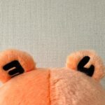 Reika Sakurai Instagram – #コミックシーモア
実はヘビーユーザーです
耳が「ヨ ム」だって知ってました…？🐻
かわいい。♡