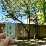 Reika Sakurai Instagram - 素敵な出逢いになった気がします 乃木神社って乃木坂以外の場所にもあったんだ、と。 こちらにご挨拶してから、何だか気持ちいい流れになってきた気がする今日この頃です。感謝感謝。 また帰ったとき、ご挨拶に伺いますー。それまでどうか…🙏🏻 #乃木神社 #だるま