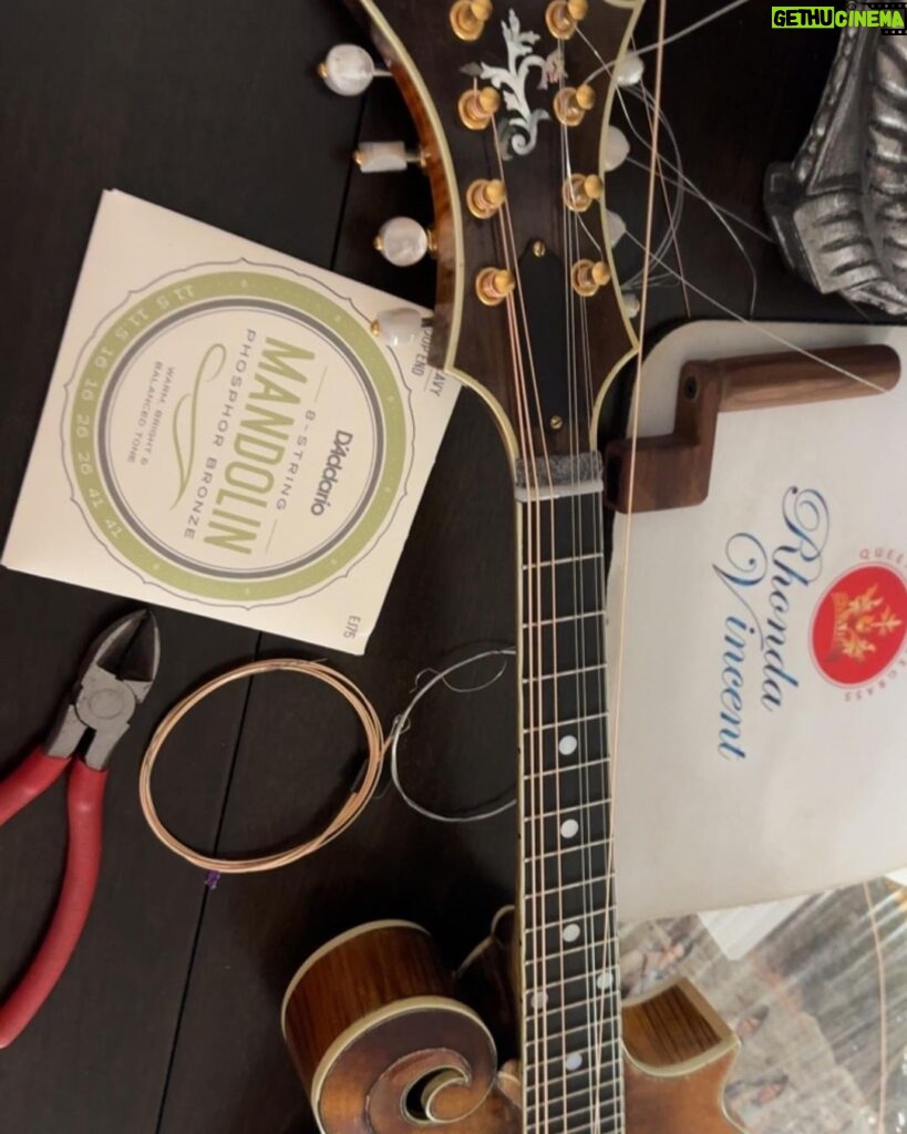 Rhonda Vincent Instagram - New @daddarioandco #mandolin strings J75 #myfave and new @stewmac_guitar mandolin tuners! Thanks for the great tones!! Nashville, Tennessee