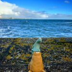 Rich Webber Instagram - Happy Wednesday! Grab yourself a coast life buddy at my big cartel shop (link in bio) #coastlife