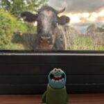 Rich Webber Instagram - Country life