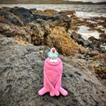 Rich Webber Instagram - Coast life