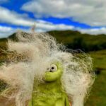 Rich Webber Instagram - Hair do #hairdont #coastlife #coast