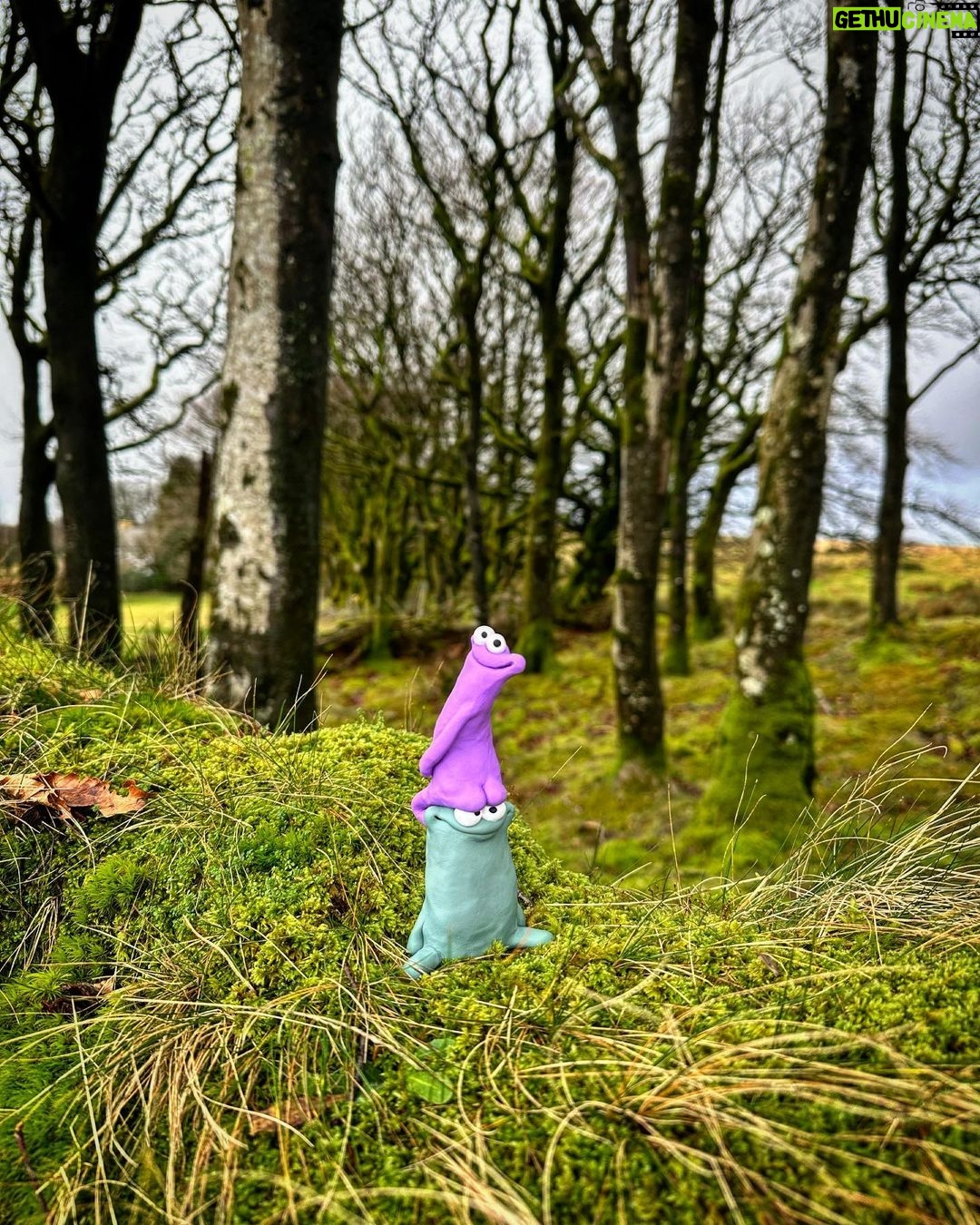 Rich Webber Instagram - Happy Saturday! Dartmoor National Park