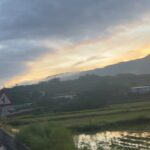 Riesling Hsieh Instagram - - 初次挑戰42KM全馬🏃🏻🐎 全大運後休養了兩個月，沒有累積跑量 今天超廢，後面都用走的。 但好險有走完，在走的過程還有可愛的狗狗直接來蹭，我真的好幸福（後面還有一隻，但我沒有摸到😢 小黑看到我就開始舔，可能身上的鹽巴太好吃了：） - 原本其實是報名28KM ，但因為人數不足，所以就索性升級成關山豐九馬拉松42KM（連續九天42KM轟炸），而且其實蠻多叔叔阿姨都已經準備好迎接九天的全馬課表，自己真的奧笑連😚 三點多起床跑六七個小時，希望下次可以進步啦～ 這次只有參加一天，就快薯條了 之後要好好督促自己，然後先從半馬開始練( ･᷄ὢ･᷅ ) #全馬 #關山豐九馬拉松 #馬拉松