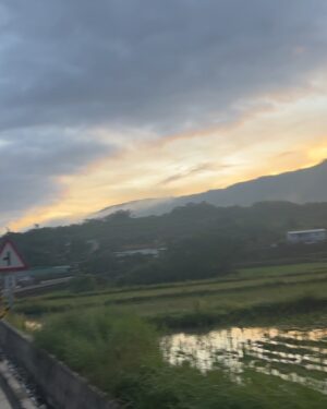 Riesling Hsieh Instagram - -
初次挑戰42KM全馬🏃🏻🐎
全大運後休養了兩個月，沒有累積跑量
今天超廢，後面都用走的。
但好險有走完，在走的過程還有可愛的狗狗直接來蹭，我真的好幸福（後面還有一隻，但我沒有摸到😢
小黑看到我就開始舔，可能身上的鹽巴太好吃了：）
-
原本其實是報名28KM ，但因為人數不足，所以就索性升級成關山豐九馬拉松42KM（連續九天42KM轟炸），而且其實蠻多叔叔阿姨都已經準備好迎接九天的全馬課表，自己真的奧笑連😚

三點多起床跑六七個小時，希望下次可以進步啦～

這次只有參加一天，就快薯條了
之後要好好督促自己，然後先從半馬開始練( ･᷄ὢ･᷅ )

#全馬 #關山豐九馬拉松 #馬拉松