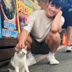 Riesling Hsieh Instagram - - 看到小貓咪就只會一直叫咪咪 「咪咪，咪咪你好可愛喔」 「你是世界上最可愛的小貓咪🐱」 最近跟貓咪很有緣，遇到都會翻肚 #貓咪 #小貓咪 #咪咪 南庄桂花巷