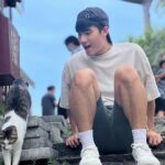 Riesling Hsieh Instagram - - 看到小貓咪就只會一直叫咪咪 「咪咪，咪咪你好可愛喔」 「你是世界上最可愛的小貓咪🐱」 最近跟貓咪很有緣，遇到都會翻肚 #貓咪 #小貓咪 #咪咪 南庄桂花巷