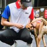 Riesling Hsieh Instagram - - 很喜歡那些原本很緊張的小動物放下戒心的瞬間，彷彿牠們知道，我們可以好好對待牠們的信任。 - 我蹲下來的時候，這隻小黃等了一會才跑來給我摸摸 然後臉直接黏在我腿上，有夠可愛我的天🫠 小臉臉都皺在一起了 #小狗狗 #狗仔 #小黃狗 #內灣 #內灣老街