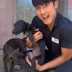 Riesling Hsieh Instagram – –
因為要帶長輩運動的關係需要到處跑，比較鄉下的地方就有好多狗狗！超愛狗狗！
–
但照顧狗狗其實有很多眉角！像第一張照片一抱起來馬上就被糾正了！跟狗狗道歉🙇🏻‍♂️

抱法不正確很容易讓狗狗不安，長期的話也會造成狗狗脊椎等部位的傷害。狗狗跟長輩一樣，需要細心照護！

所以要好好學正確的方式才不會造成狗狗的不舒服喔！
這樣在表達對狗狗的愛時也可以保護牠們啦～

然後第一二張是我第一次去那邊的文化健康站的照片，最後一張是我隔了差不多兩三個禮拜去的
希望他們都可以健健康康的長大。

#小黑  #烏來 烏來信賢部落