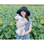 Rina Aizawa Instagram - 昨日、31歳になりました。 1年間あっという間ですね…‼︎ 30歳のうちにグラビアをまたやらせていただいたことは私にとってとても良い経験になりました。 そしてドラマ「強行犯係樋口顕」もOA中ですので、引き続きよろしくお願い致します😊 皆さんのコメントにいつも元気をいただいています🌻 ありがとうございます💗 今年も犬ちゃんと平和に過ごしていきます🐶🤍笑