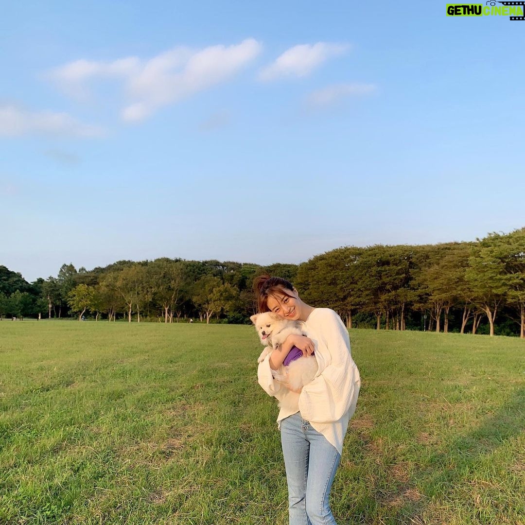 Rina Aizawa Instagram - いつかのしんのすけ🐶 いい笑顔見せてくれました☺️笑