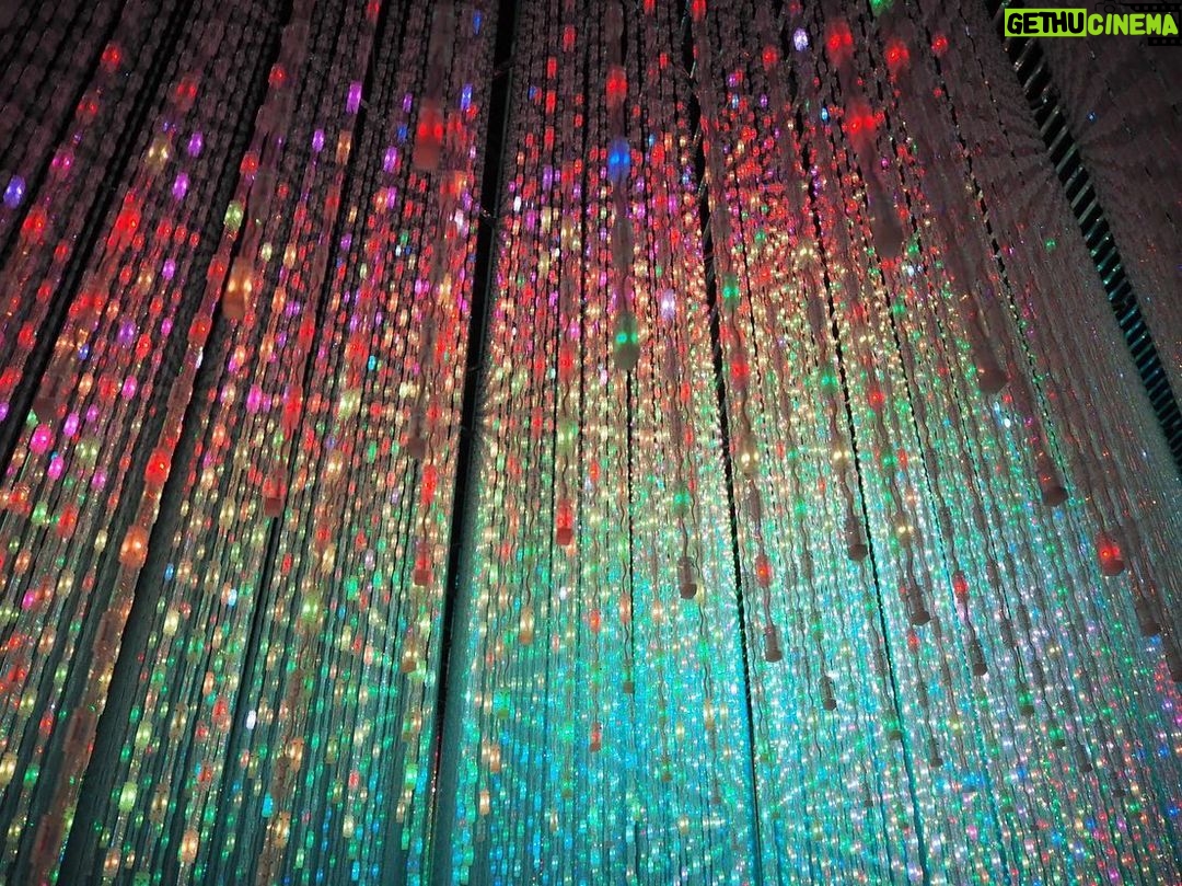 Rina Aizawa Instagram - 高校時代からの友達と🧸🧡 teamLab Borderless / チームラボボーダレス