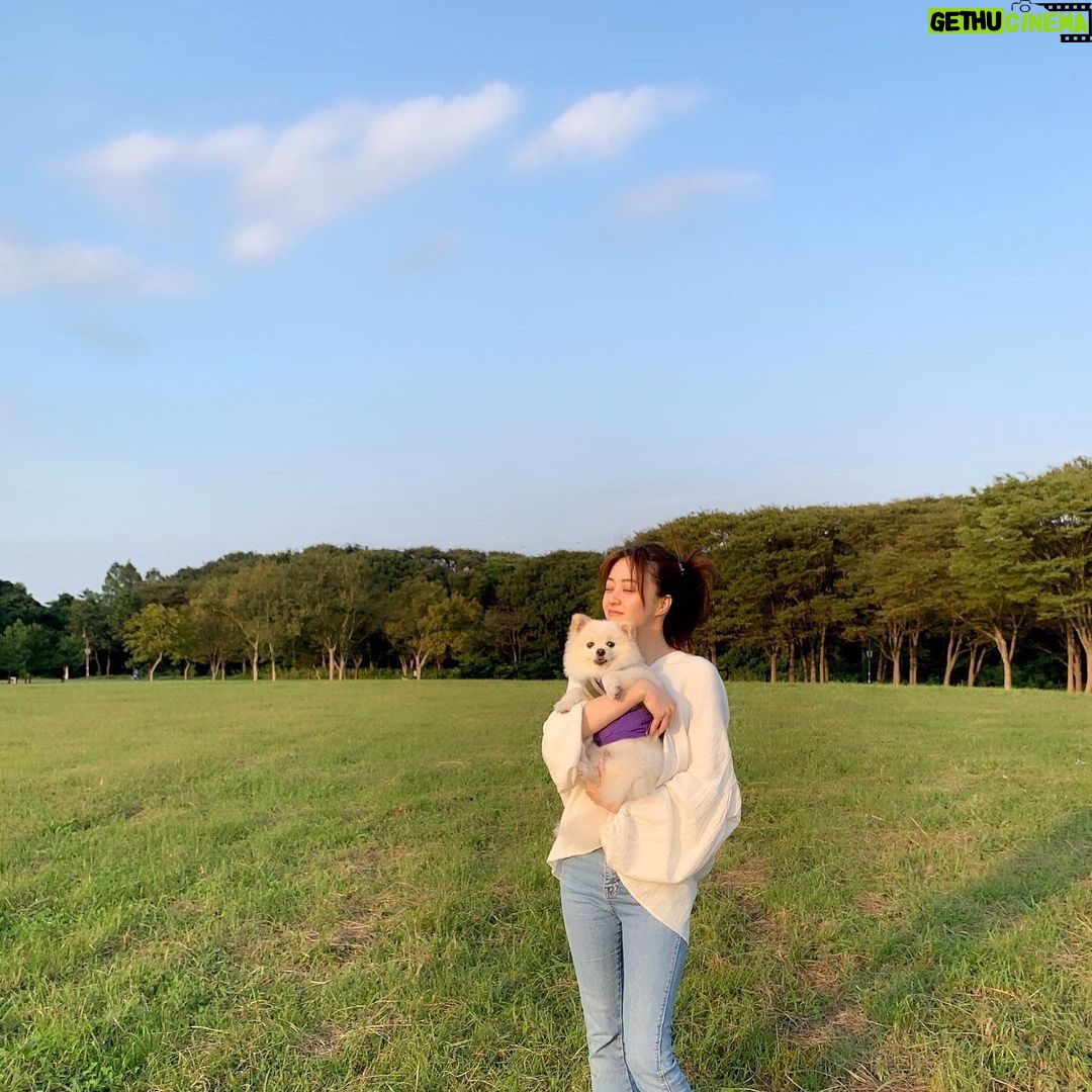 Rina Aizawa Instagram - いつかのしんのすけ🐶 いい笑顔見せてくれました☺️笑