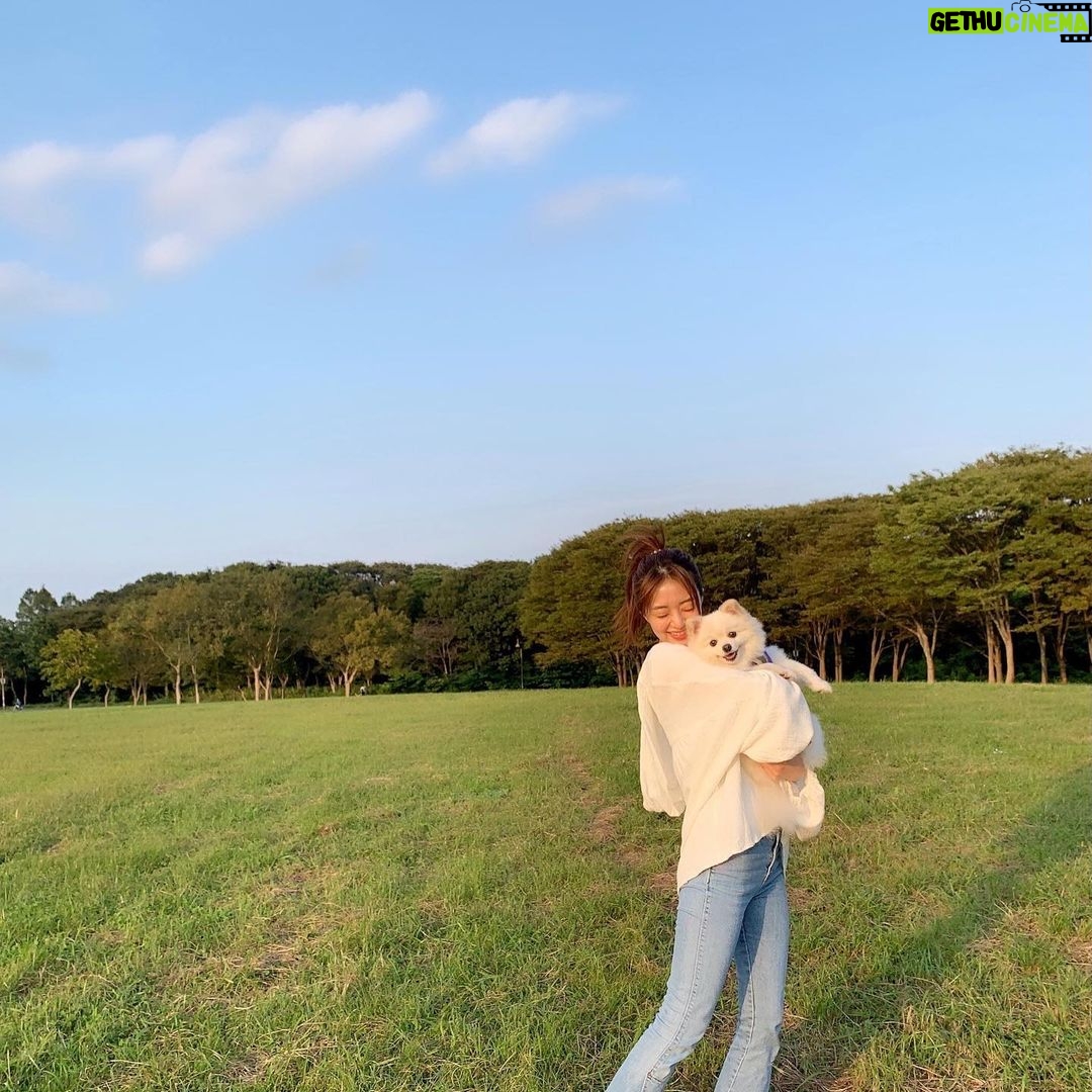 Rina Aizawa Instagram - いつかのしんのすけ🐶 いい笑顔見せてくれました☺️笑
