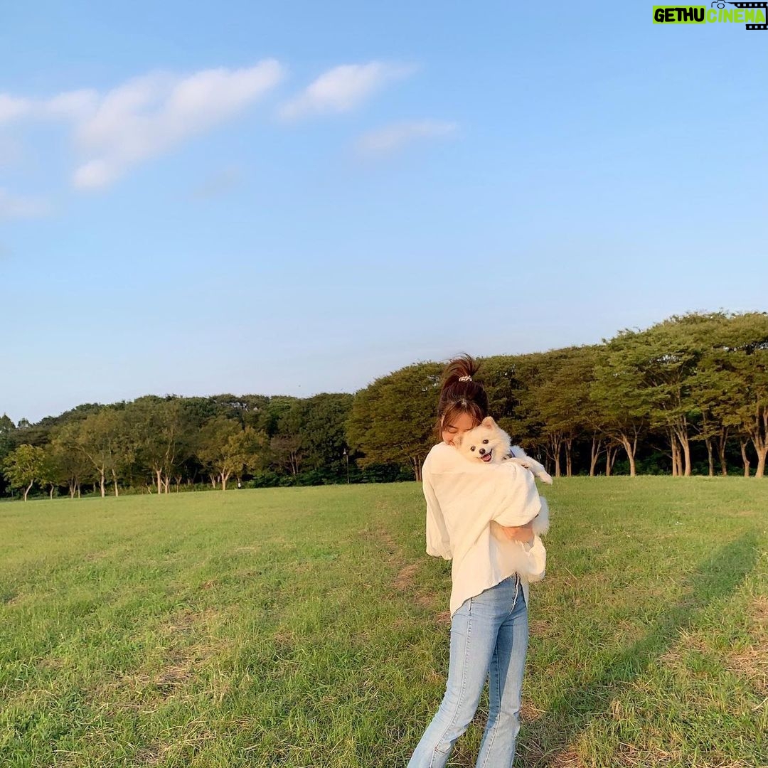 Rina Aizawa Instagram - いつかのしんのすけ🐶 いい笑顔見せてくれました☺️笑